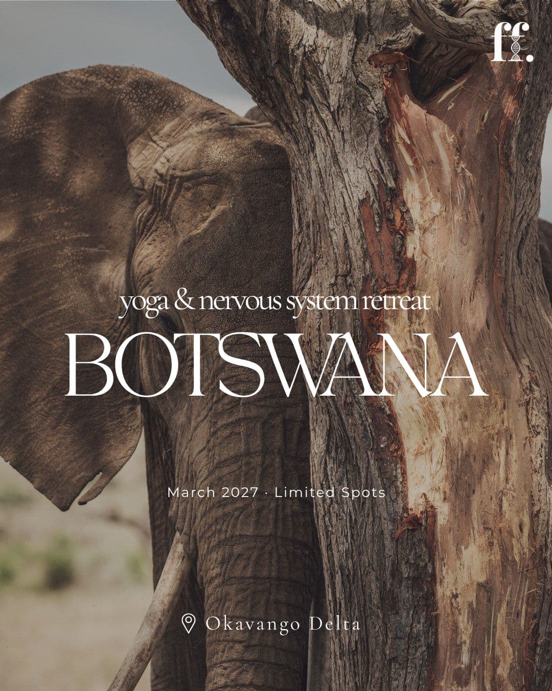 Botswana yoga and nervous system retreat in the Okavango Delta, March 2027